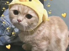 -陈记柳州螺蛳粉(大坪店)