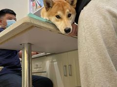 -美迦爱-牙专科·兔科·骨科诊疗中心(北苑店)