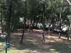 -观澜湖生态运动公社