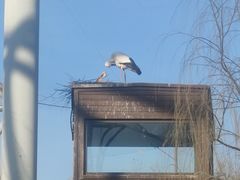 -太原动物园