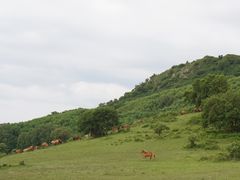 -塞罕坝国家级自然保护区