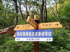 -老象峰