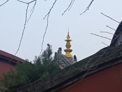 -磁器口古镇