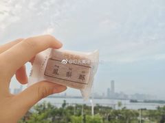 咖啡凤梨酥-阿吉仔(大元路店)