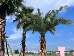 -仙海旅游度假区