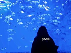 -波塞冬旅游度假区