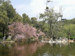 -昆明动物园
