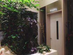 点击看大图 -贝黎诗SPA