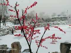-盛世南宫影视城(北普陀影视城)