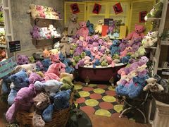 -济州岛泰迪熊博物馆