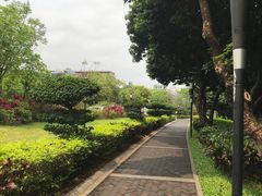 -立新湖公园