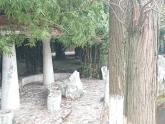 -甘棠公园