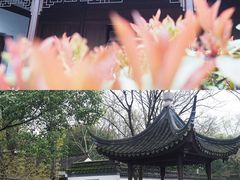 -嘉定博物馆