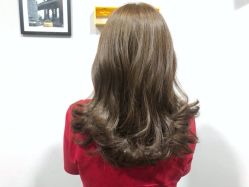 -藤野造型