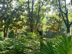 -苏州河梦清园环保主题公园