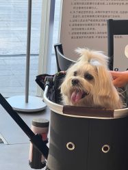-媛音医美