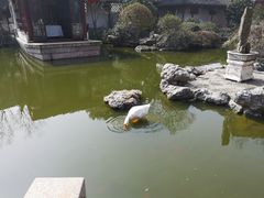 -祝家花園(伯渎港店)