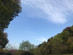 -龙寺生态园