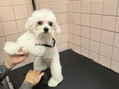 -FAELING PETS美天灵宠物(富力广场店)
