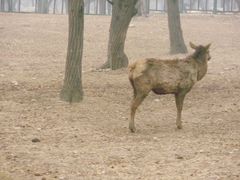 景点-西安秦岭野生动物园