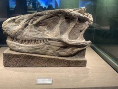 -自贡恐龙博物馆