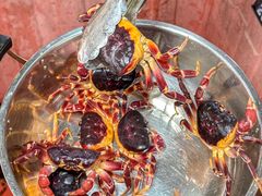 -岛中岛·海鲜大排档·万宁老字号(东澳店)