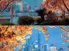 -北外滩滨江绿地