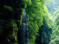 -碧峰峡风景区