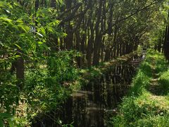 -广富林郊野公园