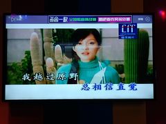-唱吧麦颂KTV(马驹桥店)