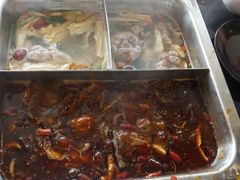 -陈阿婆重庆绿色鱼火锅