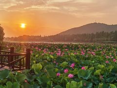 -云龙湖旅游景区