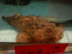 -榕树下海鲜馆(坪山路店)