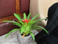 -桃仙机场头等舱休息室
