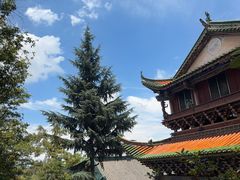-盘龙寺