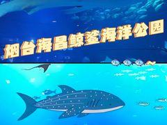 -烟台海昌鲸鲨海洋公园