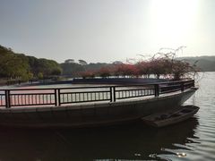 -东莞植物园