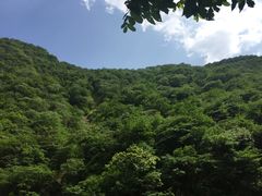-黑河国家森林公园