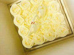 -BLACKSWAN黑天鹅(环球店)