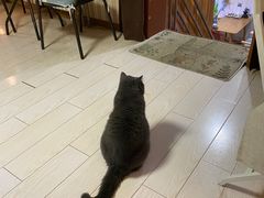 -Rabbit Cafe私房西餐甜点咖啡(栖霞路店)