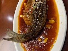 -津菜宋记老房子(鼓楼店)