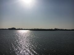 -芒洲湿地公园