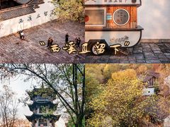 -西溪国家湿地公园