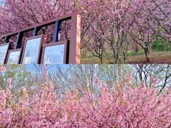 -南山风景名胜区