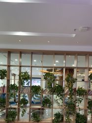 -碧莲盛·不剃发植发