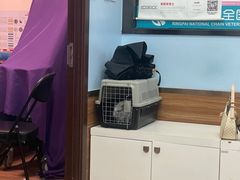 -瑞派·关忠动物医院·异宠专科·犬猫肿瘤·皮肤专科(望京店)