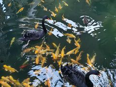 -南宫五洲植物乐园