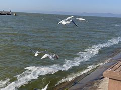 -呈贡滇池生态湿地公园