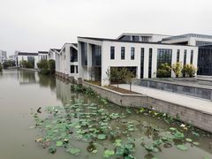 -湘湖金融镇