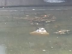 -普陀山风景名胜区-法雨禅寺